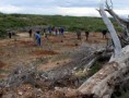 /album/galerie-photos/plantations-les-volontaires-jpg/